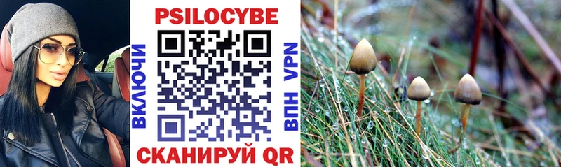 Псилоцибиновые грибы GOLDEN TEACHER  закладки  это телеграм  Голицыно 
